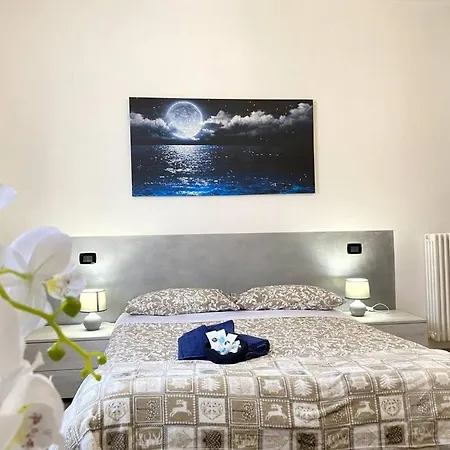 Memory Con Wifi/netflix Boloňa